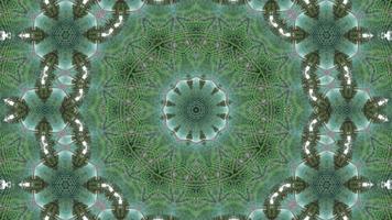Animation of green plant canopy kaleidoscopic video