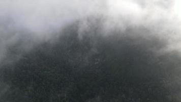 Aerial morning foggy cloud video