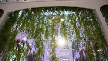 Beautiful led light flare through green plant video
