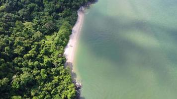 Aerial view look down calm seaside near forest video
