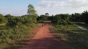 suivez le dos des enfants à vélo sur le chemin rural rouge video