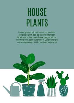 Flyer for houseplants store. Florarium, home garden, greenhouse, gardening and potted plant concept vector