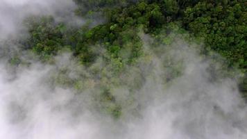 vista aérea mira hacia abajo en la nube baja en la selva tropical