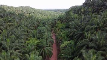 Aerial view small red soil path video