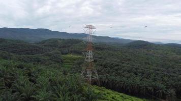 torre eléctrica de vista aérea cerca de la palma de aceite video