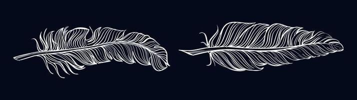 Realistic white feathers vector