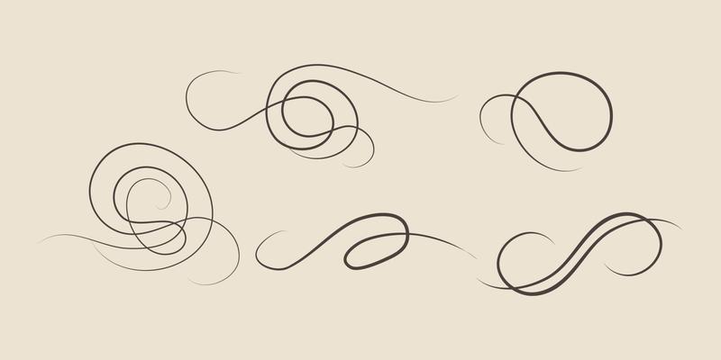 Swirl ornament strokes. Filigree swirl decoration, vintage scroll swirls. Hand drawn curly line dividers, wedding decor swirl ornament vector