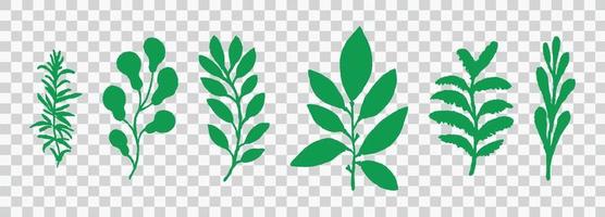Set of green curly grass and flowers vector