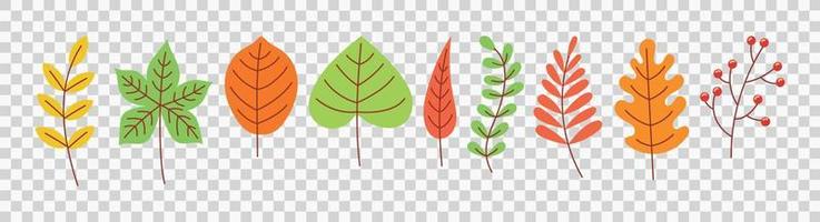 Autumn leaves vector eps 10