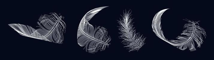 Bird feather icon vector