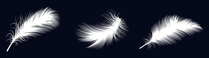 Vector white feathers collection, set of different falling fluffy twirled feathers vector