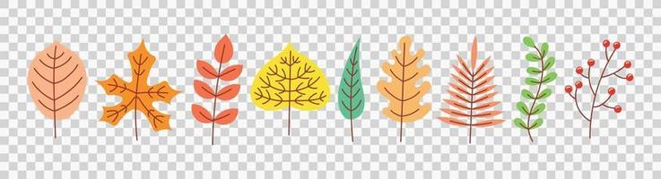 Autumn leaves. Vector. Set of symbols of fall leaf