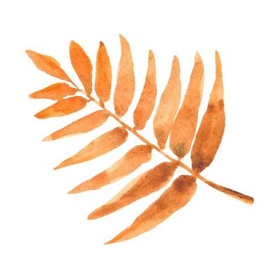 Watercolor Drawing of a Tree Leaf.