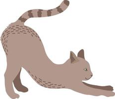 cat stretches, pulls on the floor with its claws, dear pet vector