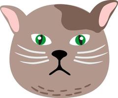 important muzzle of the cat. Perfect for a postcard, notebook, case. Vector illustration of cats avatar