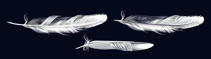 plumas blancas realistas vector