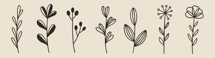 Hand drawn plants vector eps 10