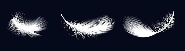 Vector realistic 3d set of white bird or angel feathers in various shapes, isolated on background
