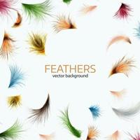 Vector illustration of  colorful  exotic feathers.