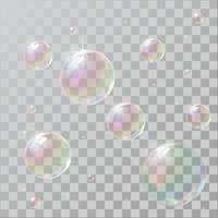 Realistic soap bubbles with rainbow reflection vector