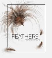 Vector illustration of feathers.