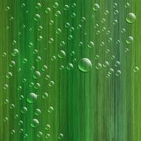 Water drops on fresh green grass, realistic vector illustration