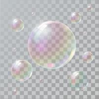 Realistic soap bubbles with rainbow reflection vector