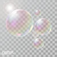 Realistic soap bubbles with rainbow reflection vector