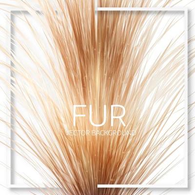 Abstract fur background