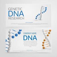 Abstract  colorful  medical background with  3d Dna molecule. Po vector