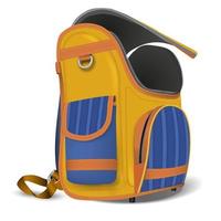 mochila escolar vacía y abierta vector