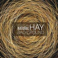 Abstract background  hay nest. Natural background vector