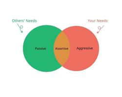 the assertiveness which is combines of aggressive and passive vector