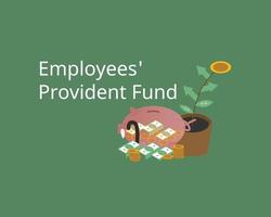 employees provident fund for retirement investment in long term vector