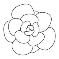 Doodle Succulent Flower. Desert flower for print and design. vector