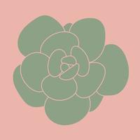 Doodle Succulent Flower. Desert flower for print and design. Modern pattern.