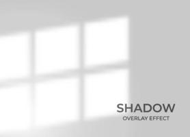 Shadow overlay effect with window background vector