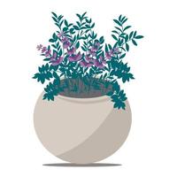 Flower pot with lavender and green leaves. vector