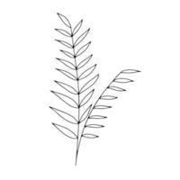 Botanical line art floral leaves, plant. Hand drawn sketch branch isolated on white background. Vector illustration