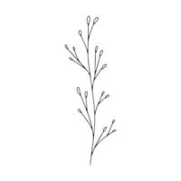 Botanical line art floral leaves, plant. Hand drawn sketch branch isolated on white background. Vector illustration