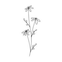 Botanical line art floral leaves, plant. Hand drawn sketch branch isolated on white background. Vector illustration