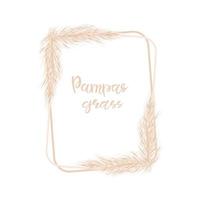 Rectangular vertical frame with dry pampas grass white isolated background. For the design of wedding invitations and postcards. Vector soft illustration