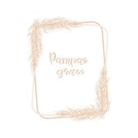 Rectangular vertical frame with dry pampas grass white isolated background. For the design of wedding invitations and postcards. Vector soft illustration