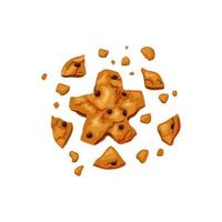 Bitten cookies with chocolate chips. Broken cookie in the form of a star. Vector cartoon illustration