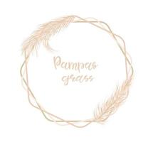 Dry Pampas grass. Soft frame for wedding invitations or postcards. Vector hand drawn illustration on a white isolated background