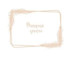 Pampas grass rectangular background. Decor of invitations and postcards in the Boho style. Vector illustration.