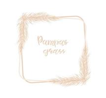 Pampas grass is a delicate square frame for the design of wedding invitations, postcards. Selloana. Vector hand-drawn illustration