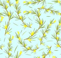 Rooibos herb  with flowers and leaves seamless pattern. Rooibos tea. Vector cartoon background.