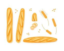 French baguette set on a white isolated background. Slices of white bread. Half a loaf. Ears of wheat. Vector cartoon illustration.