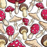 seamless pattern of colorful mushroom with hand drawn style vector